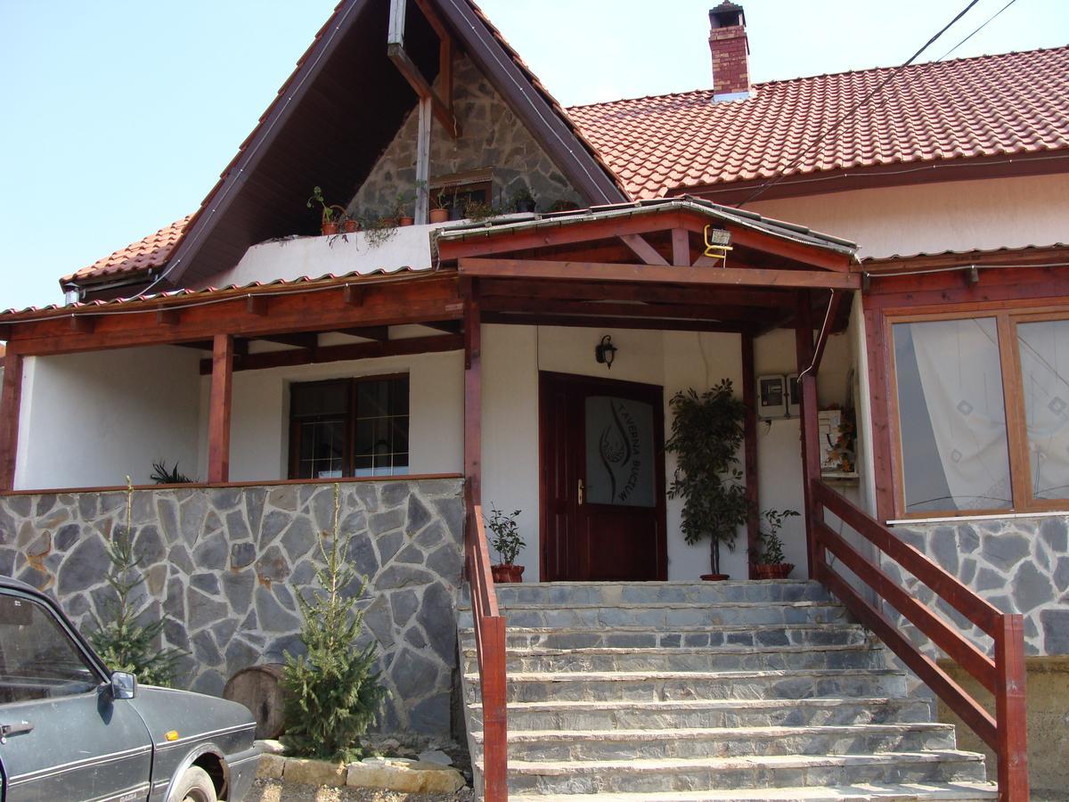 Pensiunea Taverna Bucium Iasi Exterior foto