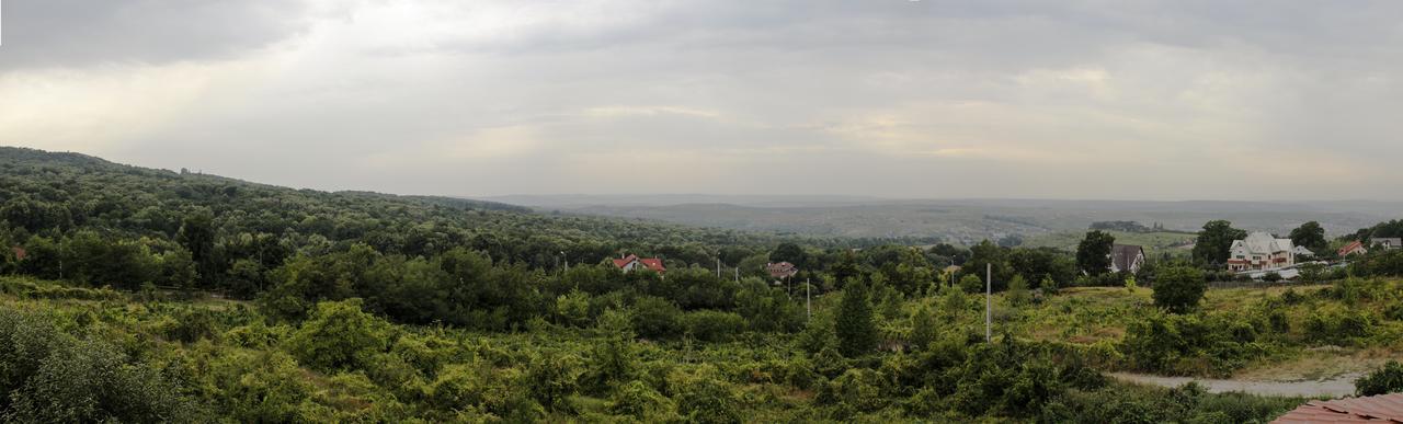 Pensiunea Taverna Bucium Iasi Exterior foto